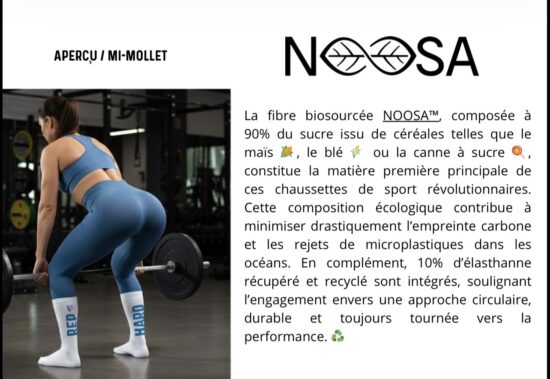 Pre-Order Bsthenos Socks -40%